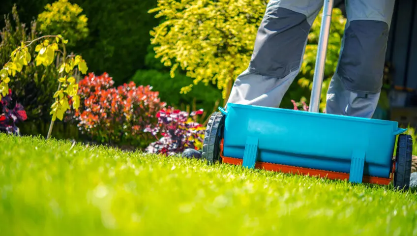 Man pushing a lawn fertilizer