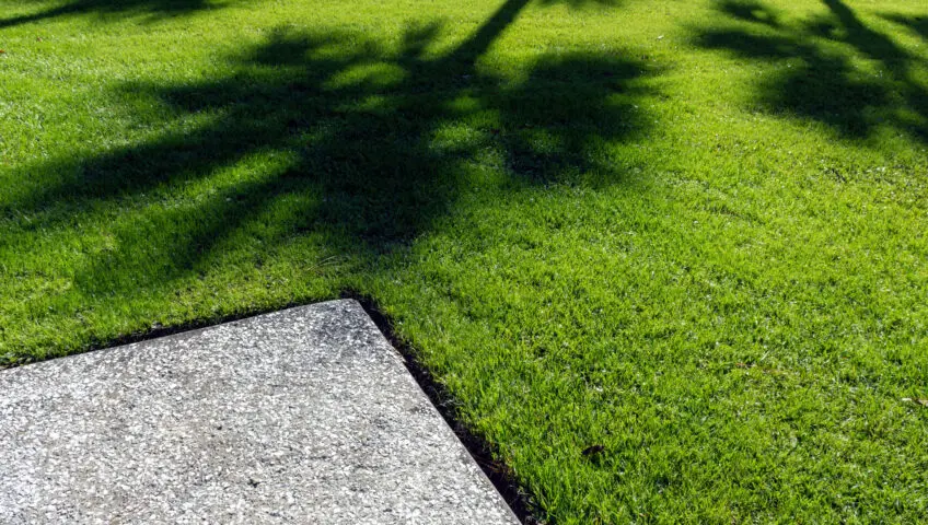 A nicely manicured lawn with edging
