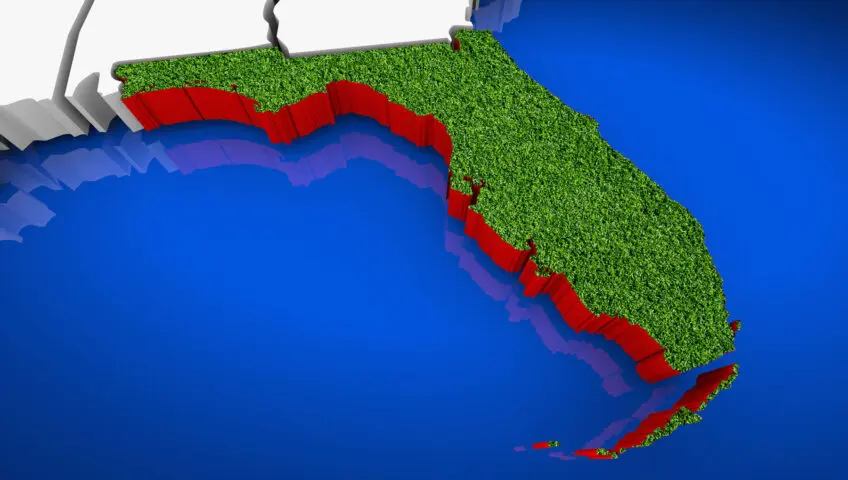 Map of Florida showing grass on the state