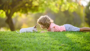 Child on a lush lawn with a small dog