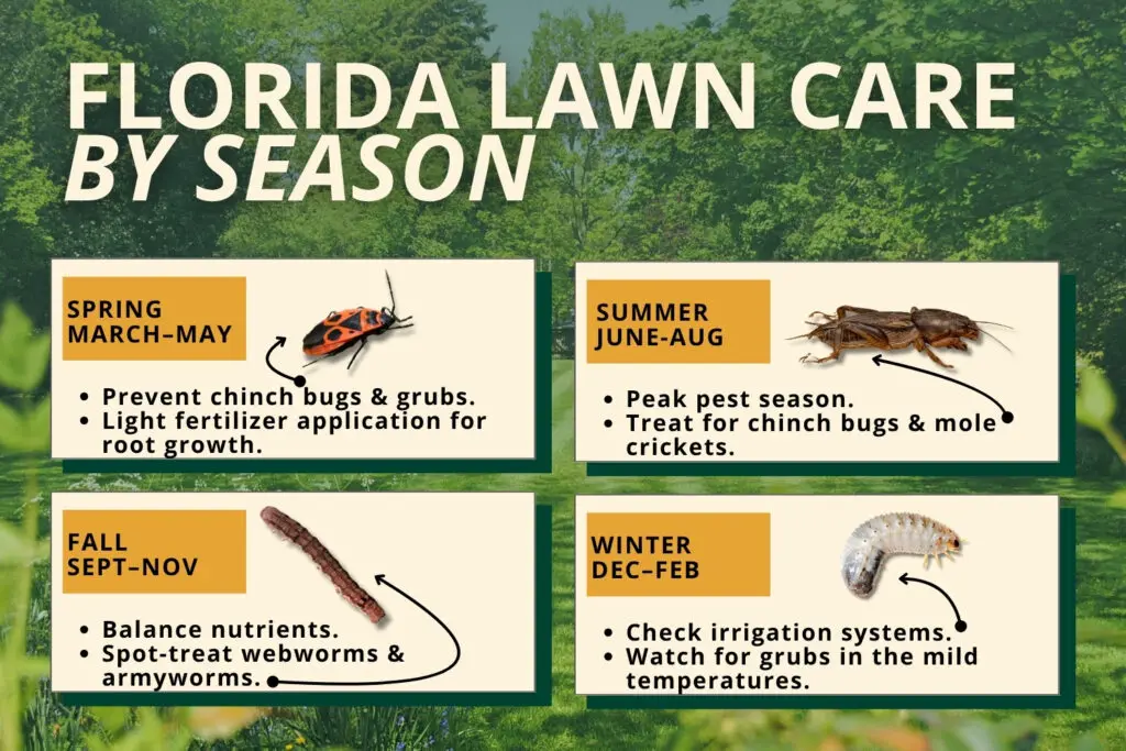 florida lawn care by season