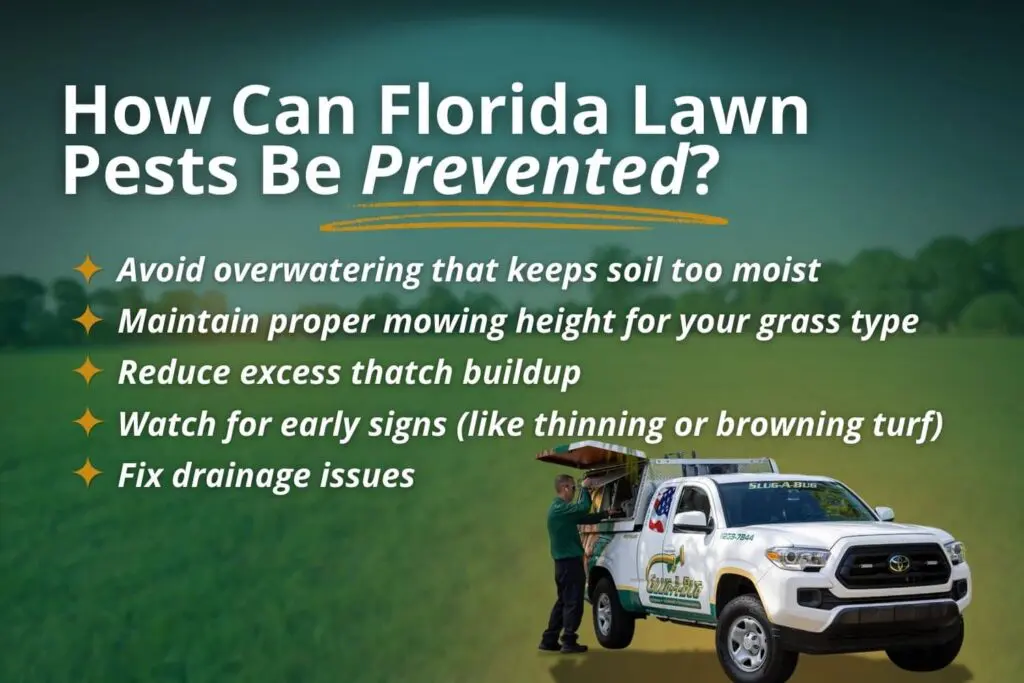 preventing florida lawn pests