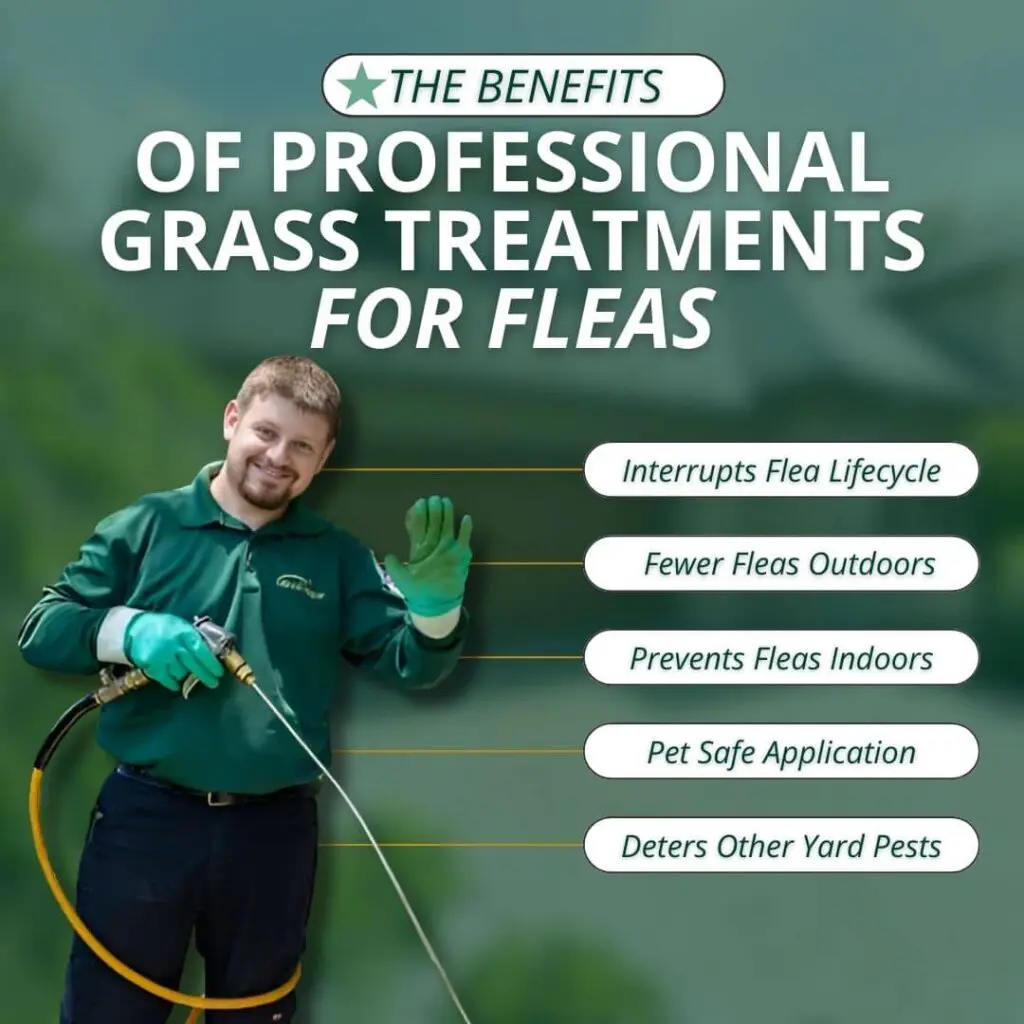 benefits of grass treatment for fleas 1 – Slug-A-Bug Pest Control benefits of professional grass treatment for fleas
