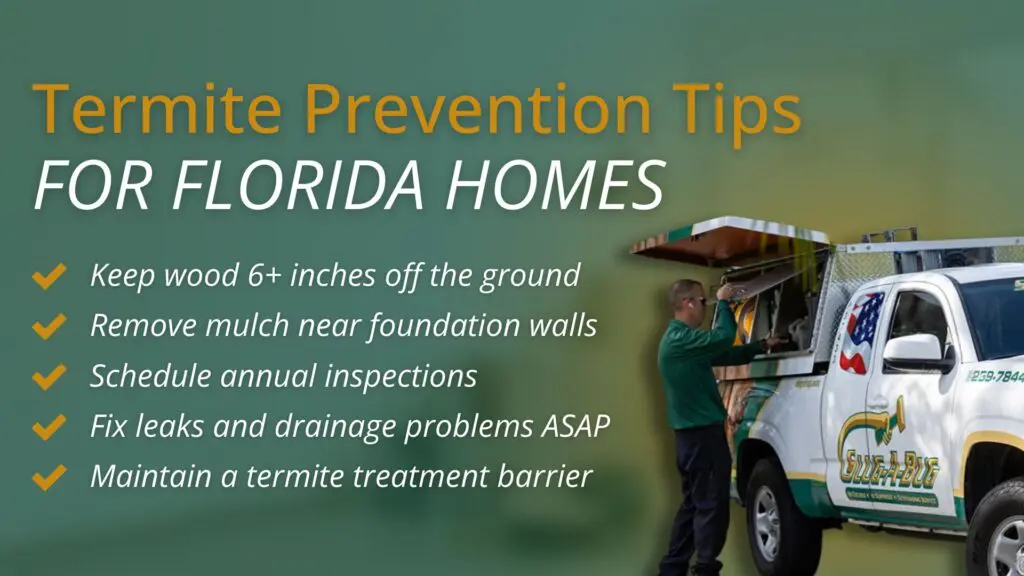 2 – Slug-A-Bug Pest Control prevention tips for termites in florida