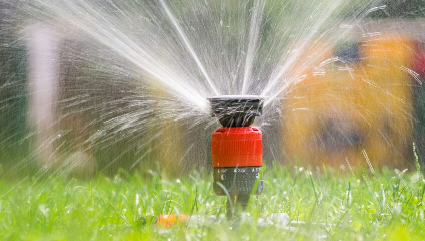 Sprinkler head watering a lawn