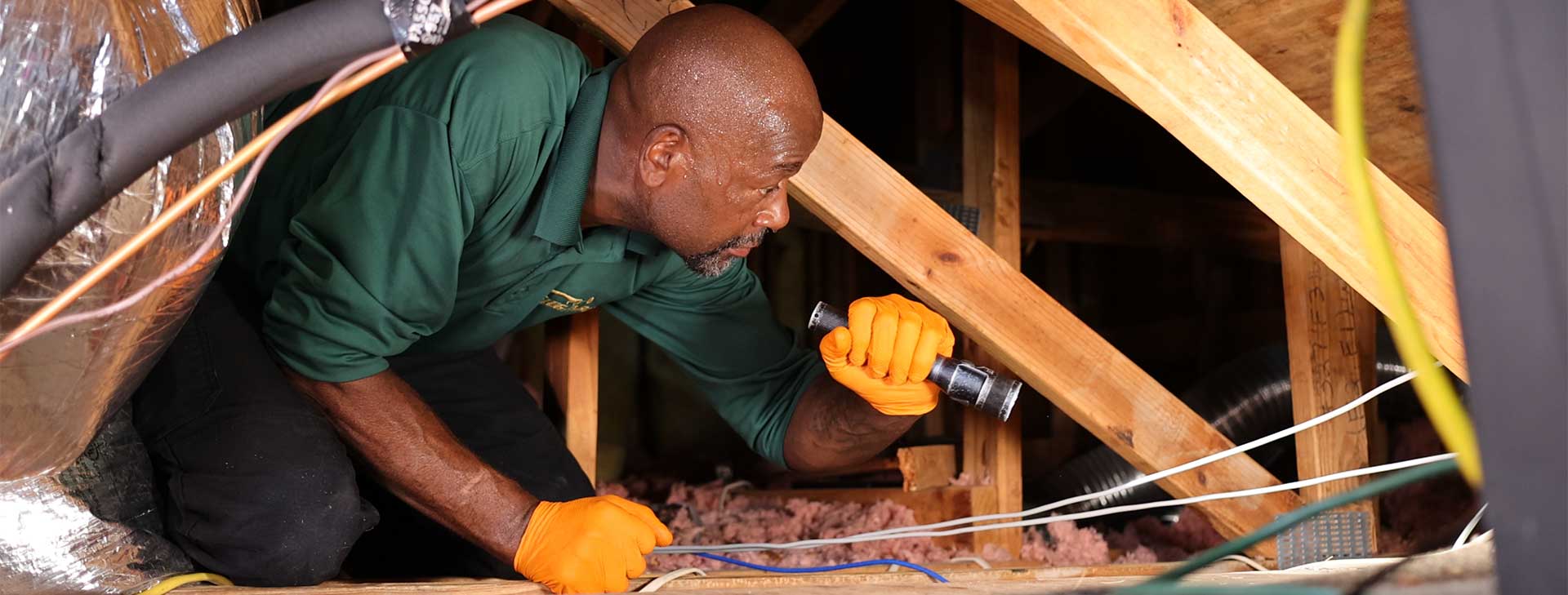 Slug-A-Bug Rodent Control technician investigating an attic