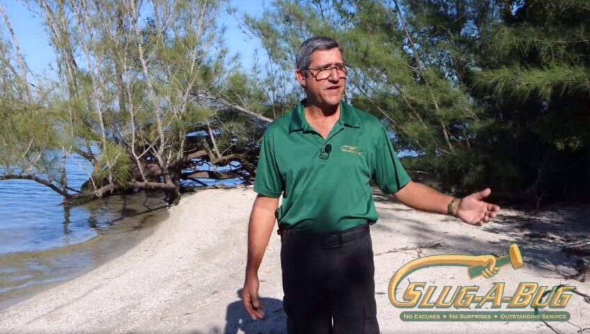 Employee on spoil island