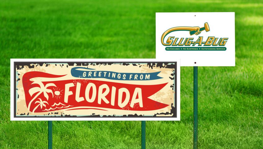 Grass with lawn signs