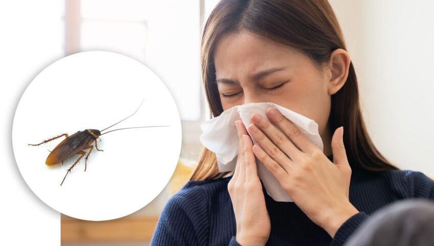 Cockroach, woman sneezing