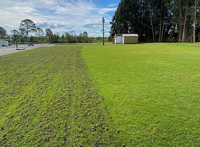 Lawn Aeration in Florida