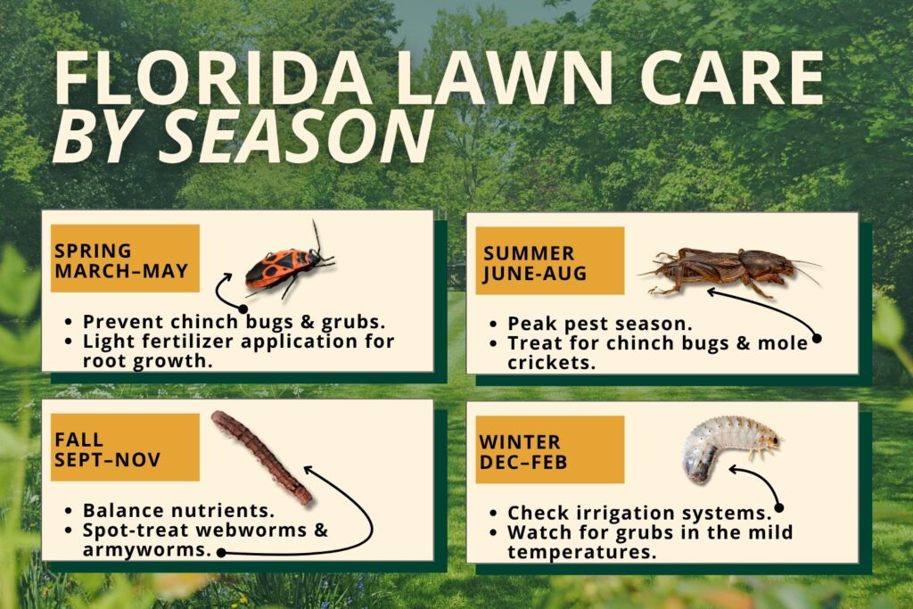 florida lawn care by season
