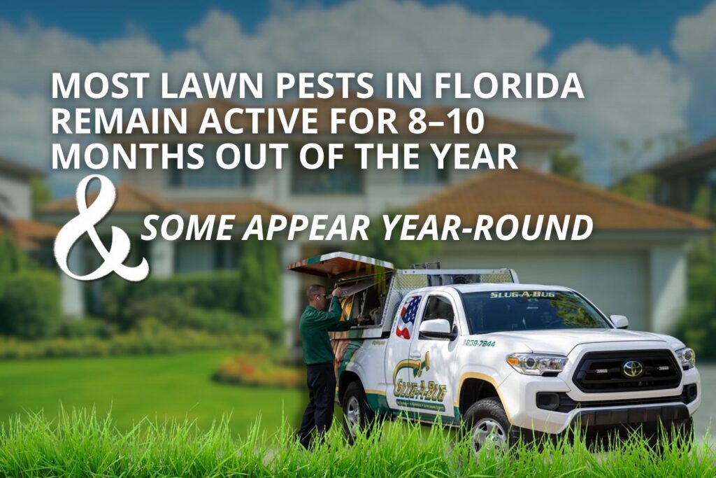 florida lawn care by season stat