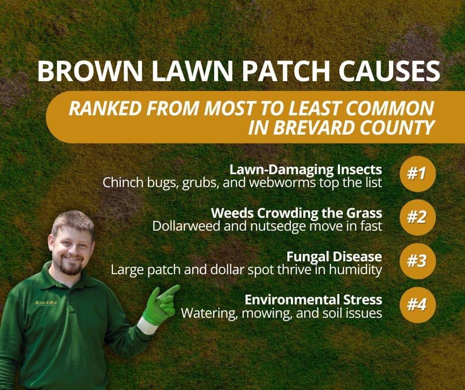 Brown lawn patch causes ranked most to least common – Slug-A-Bug Pest Control An infographic titled "Brown Lawn Patch Causes" ranking the top four issues in Brevard County: insects, weeds, fungal disease, and environmental stress. A Slug-A-Bug technician points to the list, helping homeowners identify "Why Are There Brown Patches on My Lawn" and how to address common pests like chinch bugs and webworms.